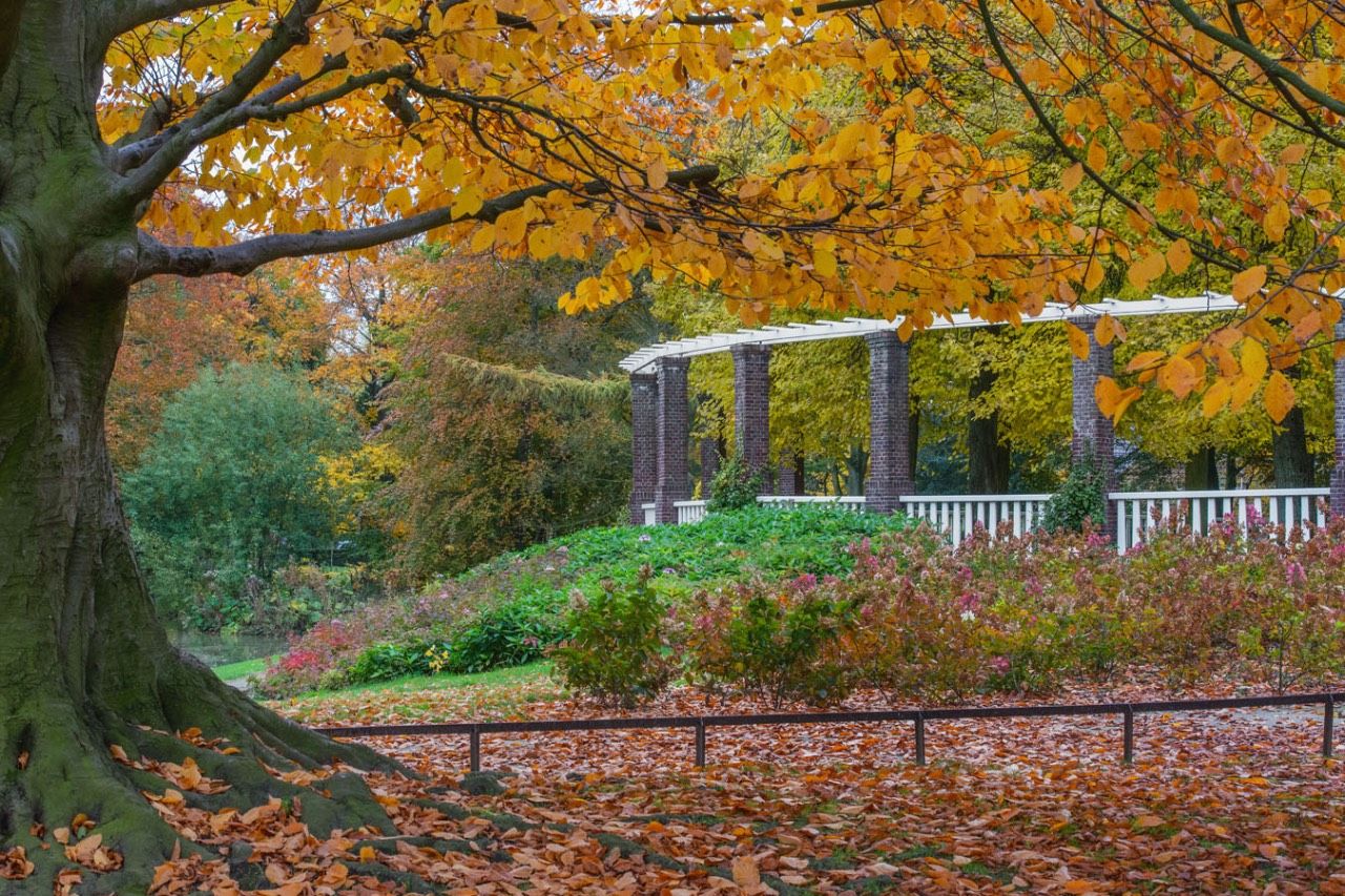 Photo 42 of Rembrandtlaan 3-B