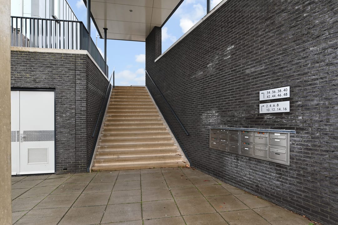 Foto 46 van Noordkaper 2