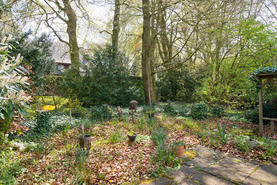 Photo 56 of Hammarskjoeldlaan 4