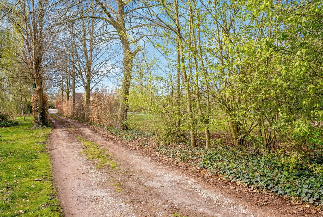 Foto 8 van Smidsstraat 10-A