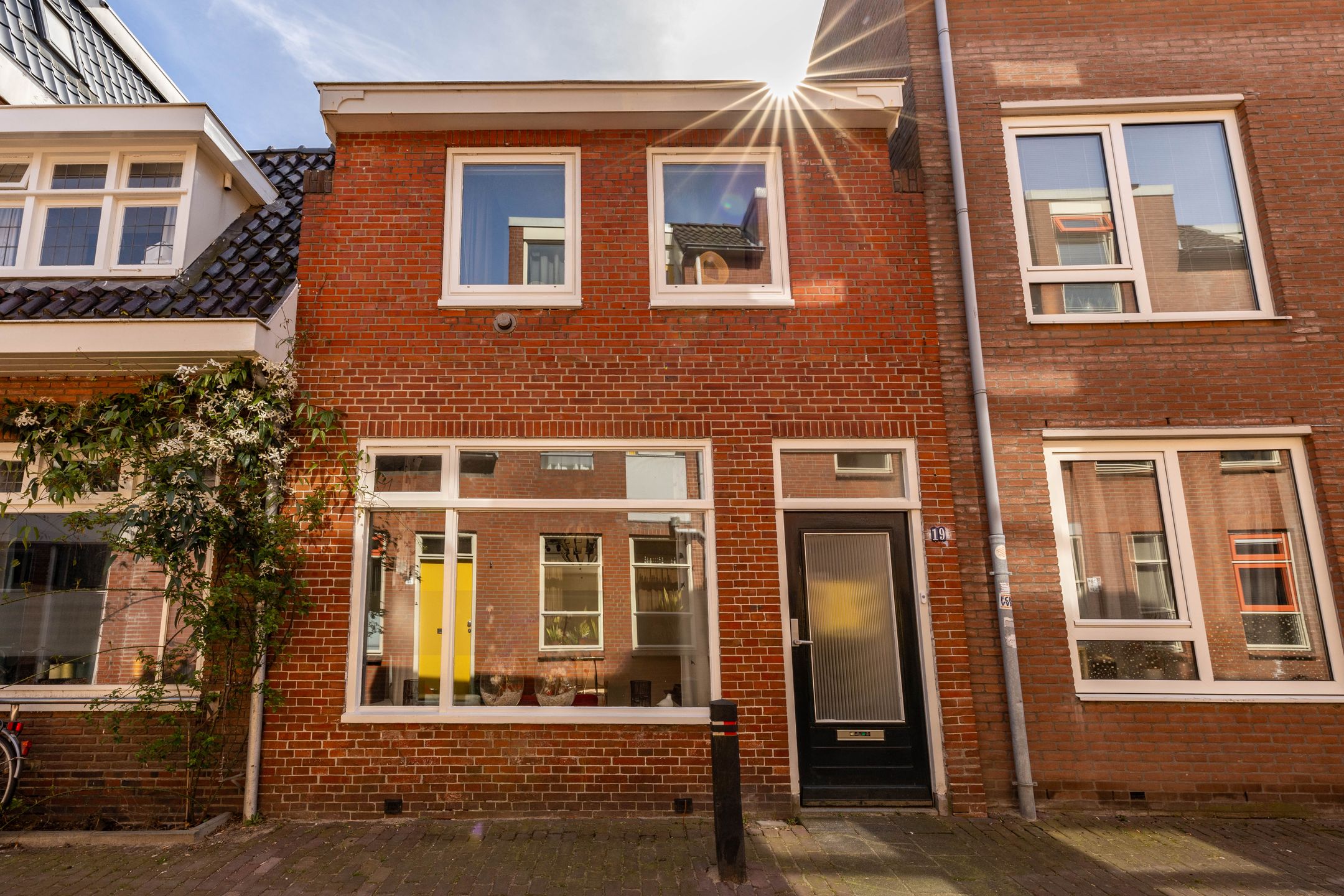 Pluimerstraat 19 