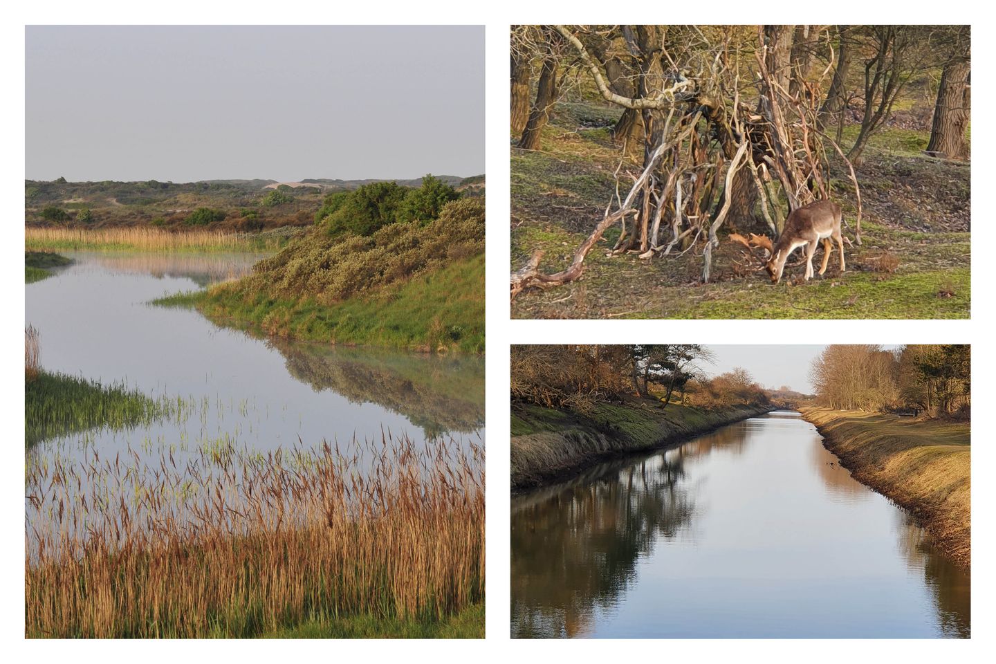 Photo 64 of Louise de Colignylaan 58