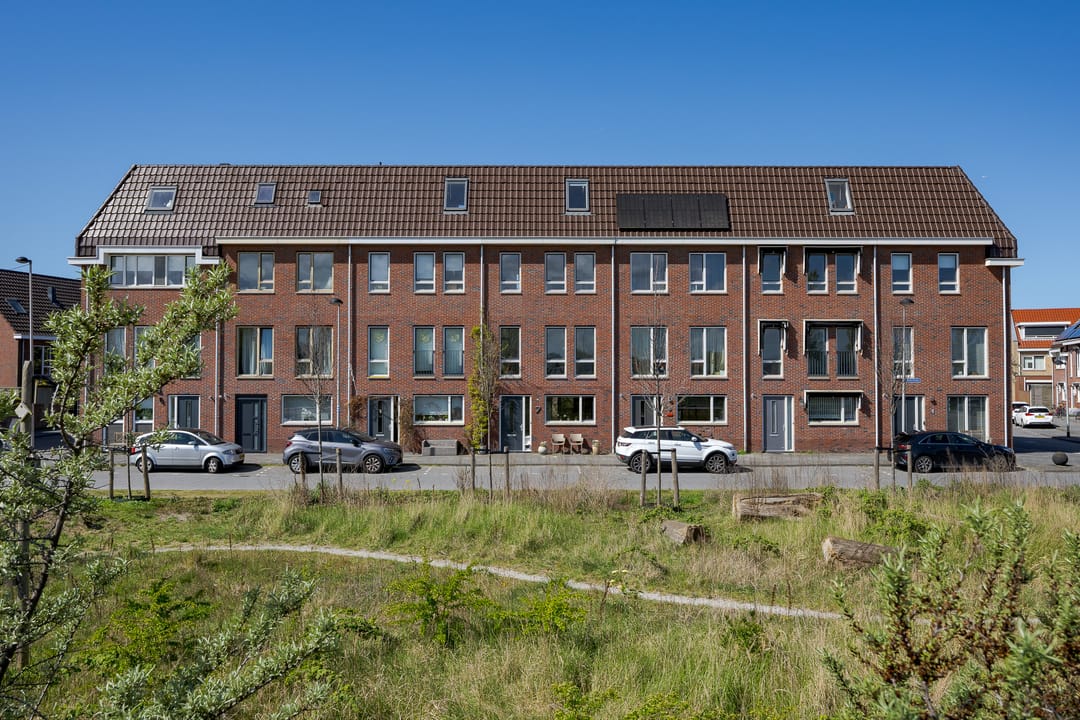 Foto 7 van Akkerklokje 7