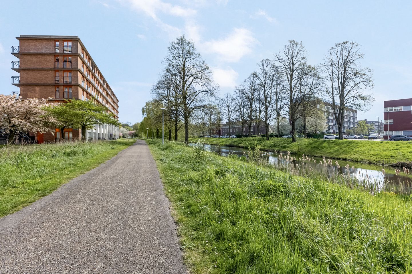 Foto 35 van Prinses Ireneplateau 1