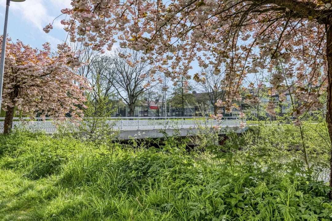 Foto 37 van Prinses Ireneplateau 1