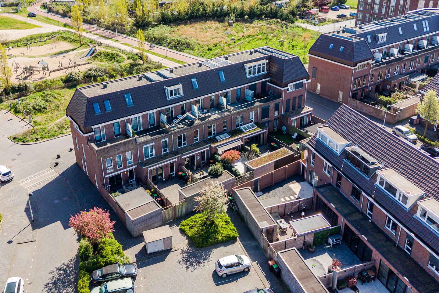 Foto 5 van Akkerklokje 7