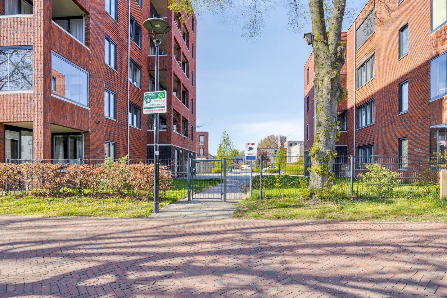 Photo 79 of Dr. Schaepmanstraat 51
