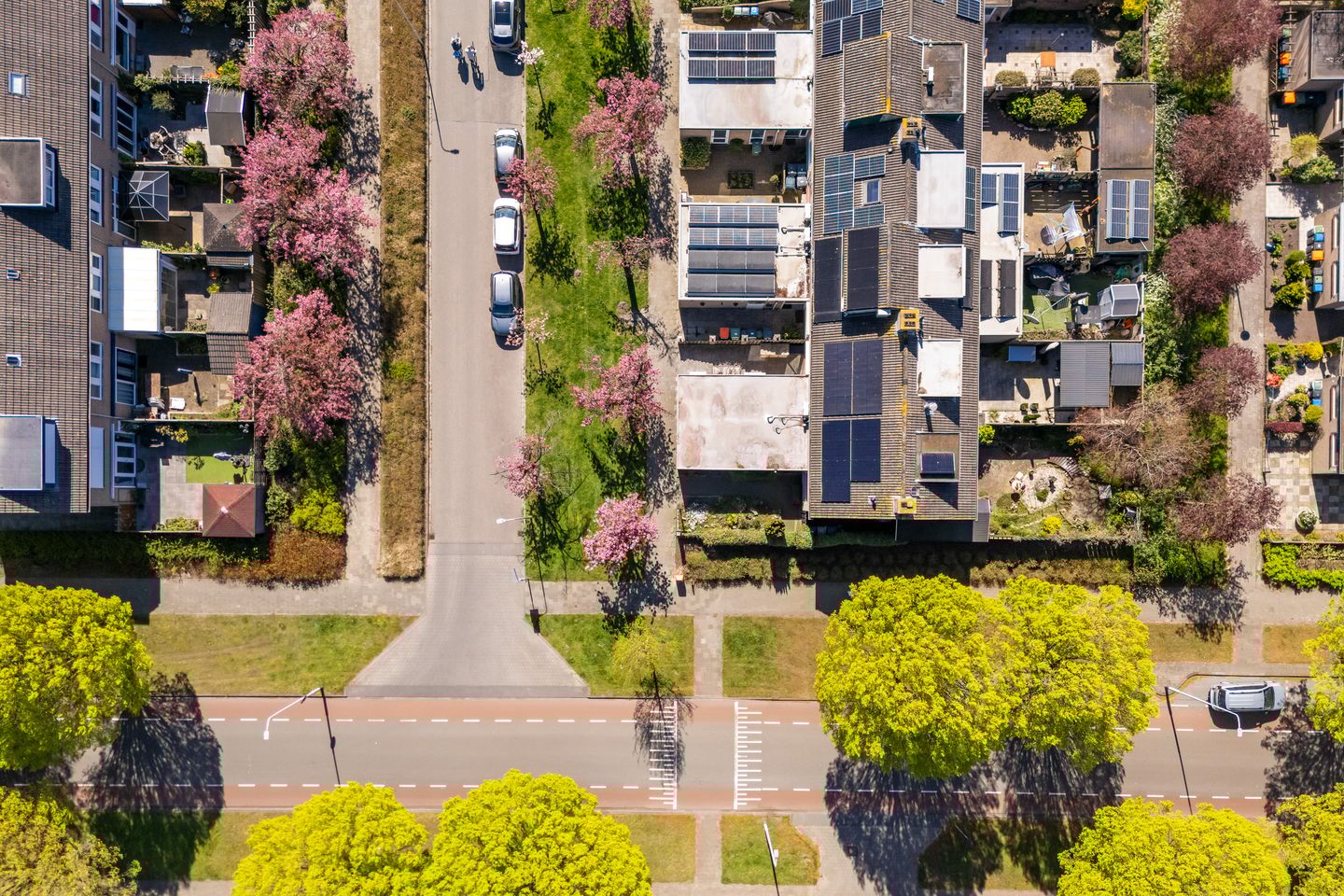 Foto 44 van Susannadonk 10