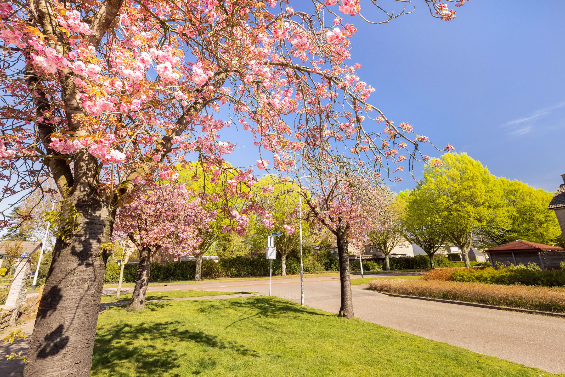 Foto 42 van Susannadonk 10