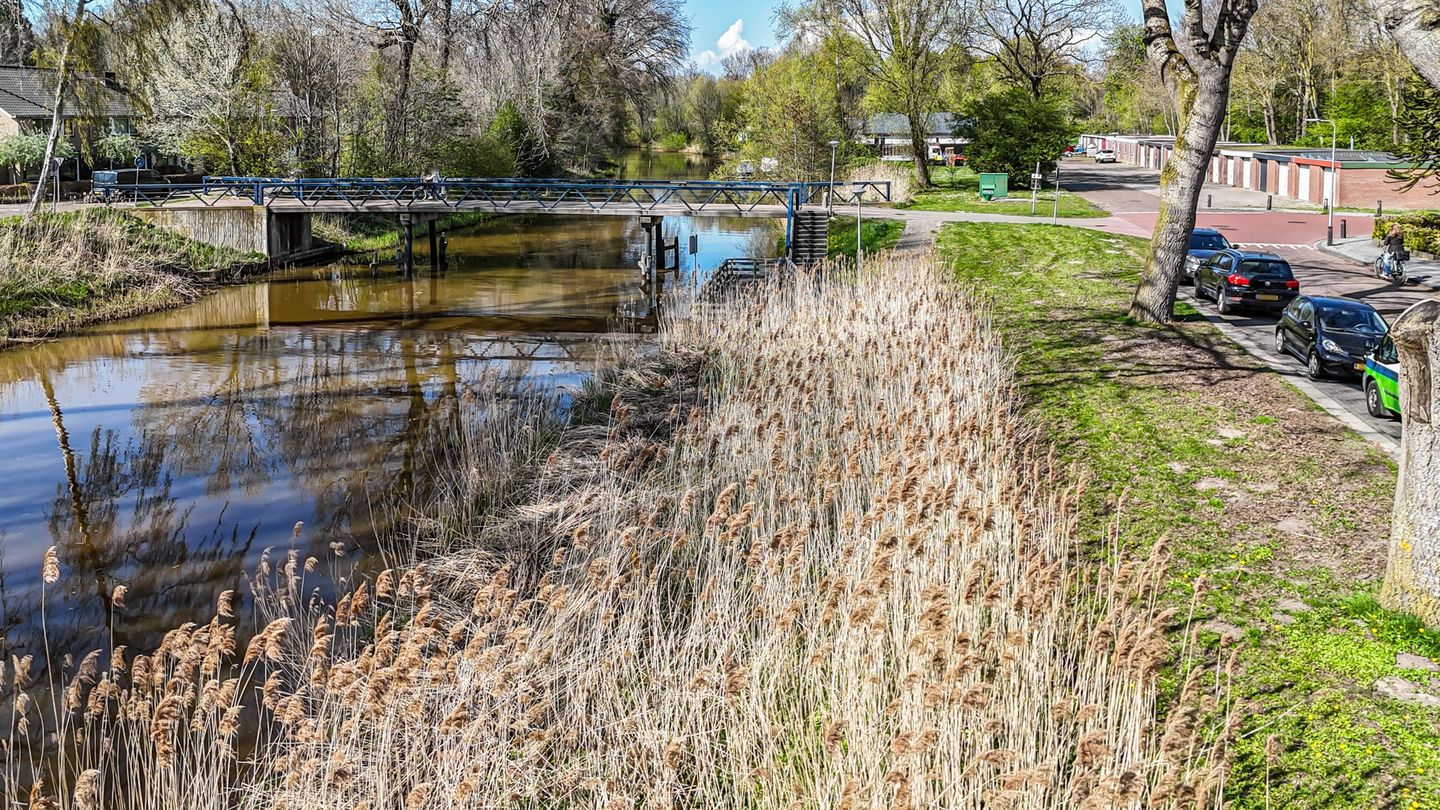 Photo 44 of Hoefbladstraat 15