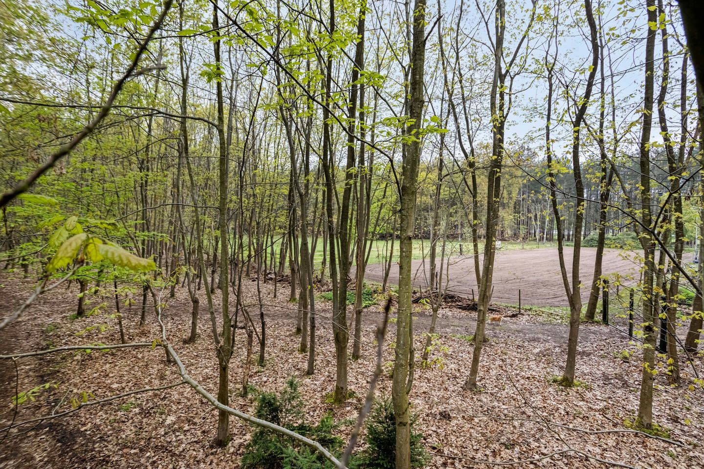Foto 44 van Zuidgeest 1-A