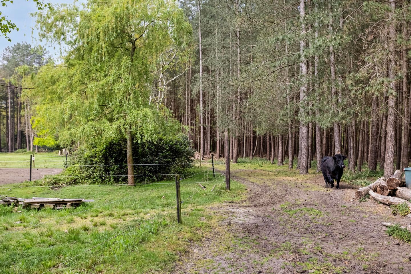 Foto 40 van Zuidgeest 1-A
