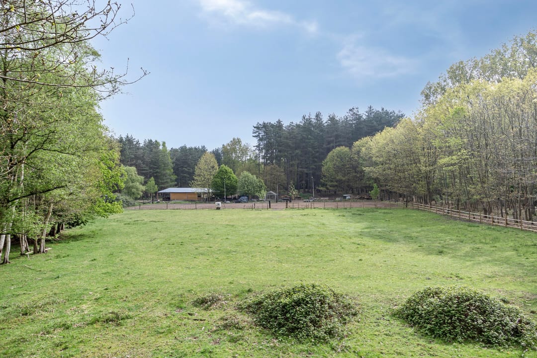 Foto 38 van Zuidgeest 1-A
