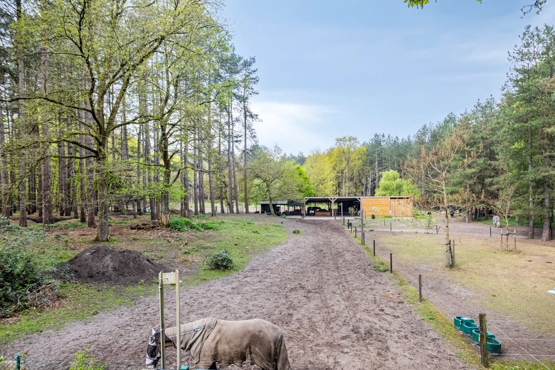 Foto 53 van Zuidgeest 1-A