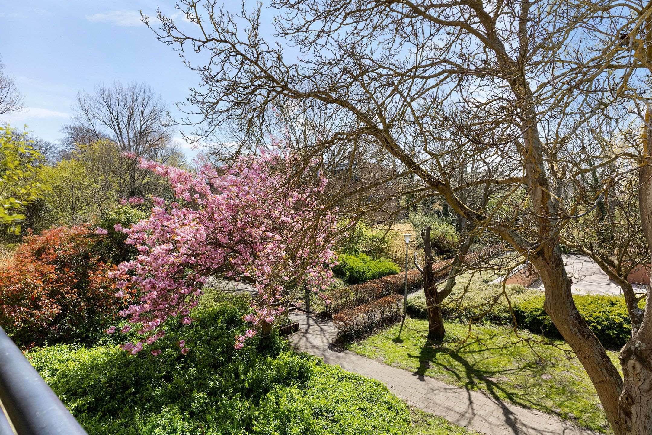 Foto 33 van Eikenlaan 21