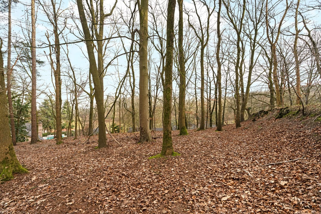 Foto 26 van Oude Bosweg