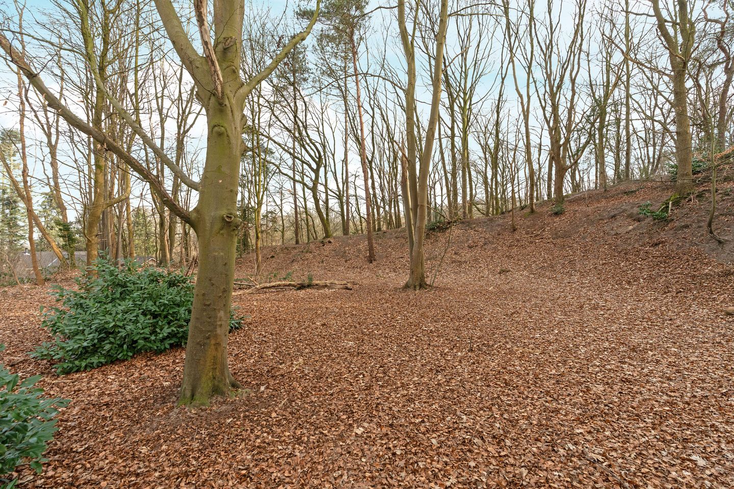 Foto 4 van Oude Bosweg