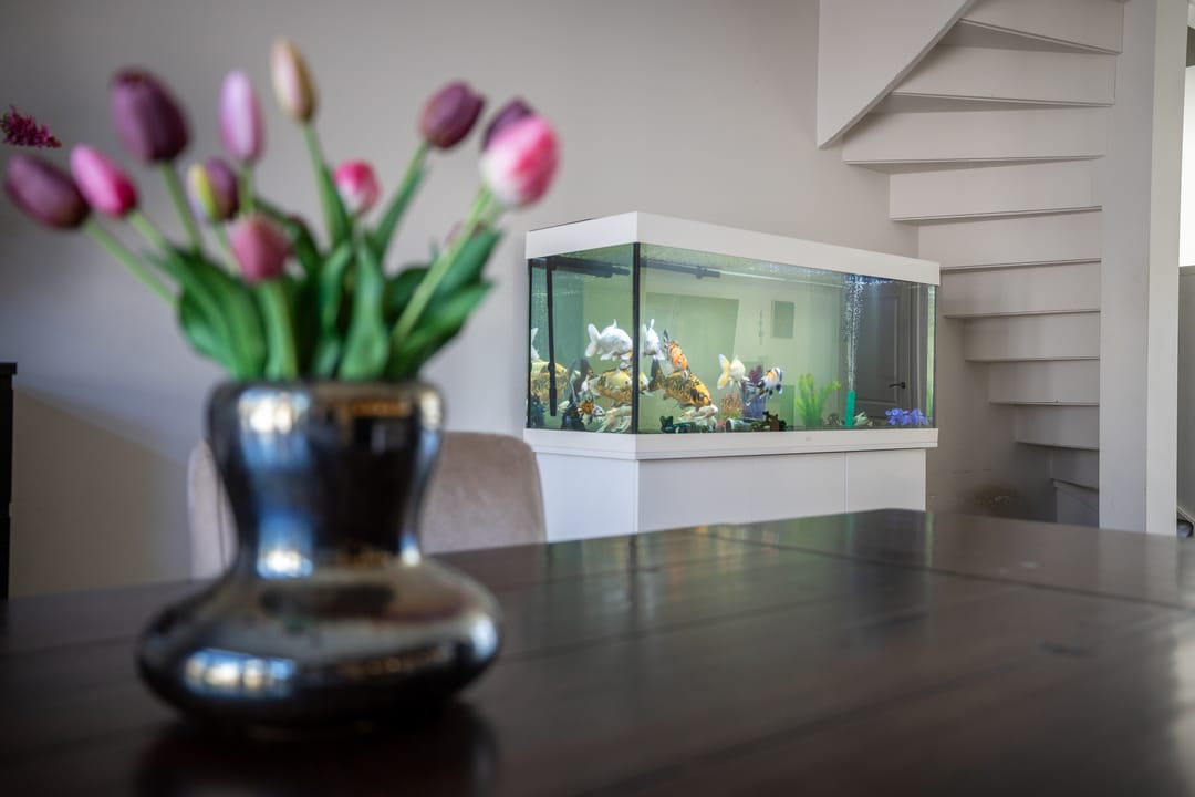 Foto 17 van Duiker 108