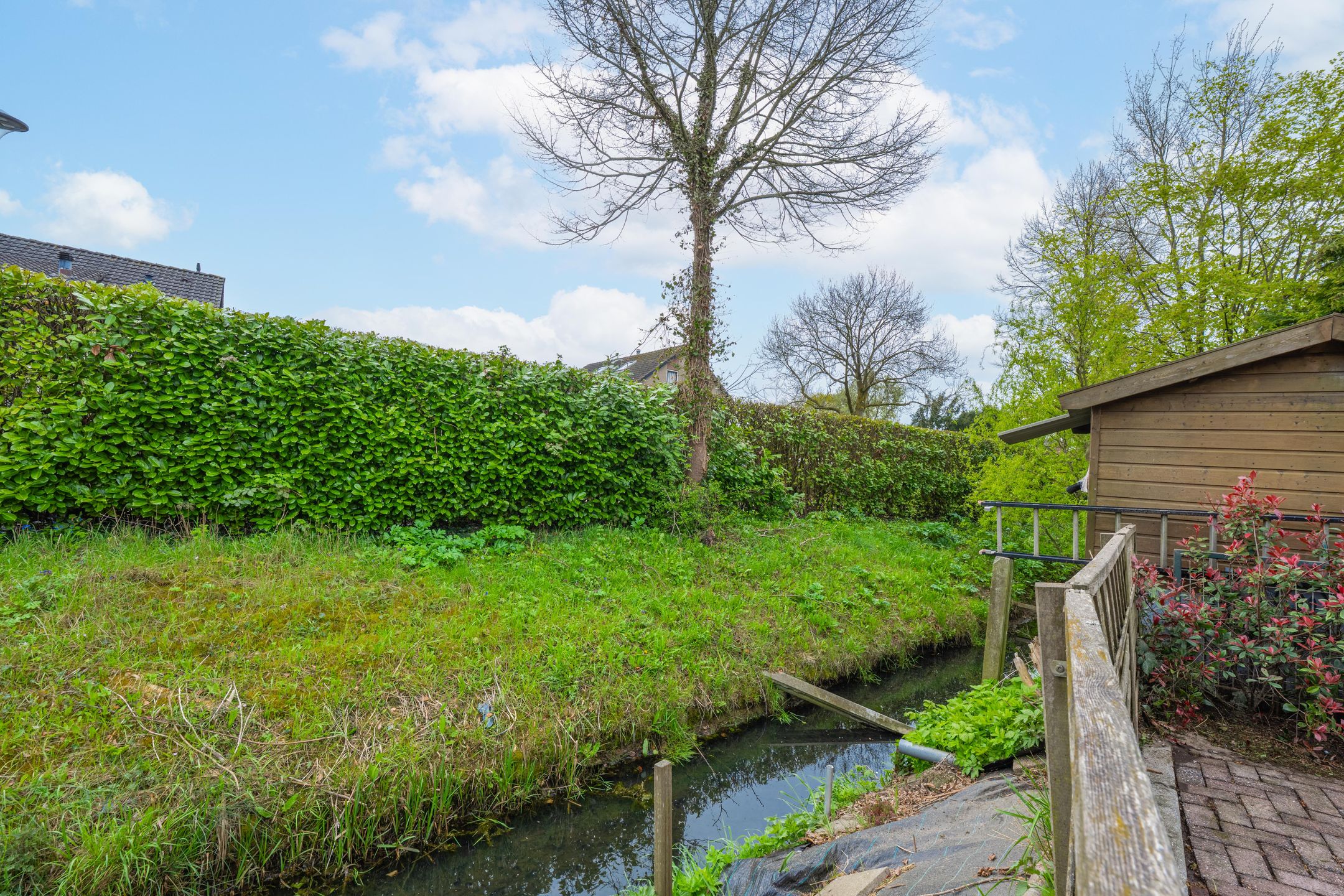 Photo 36 of Dorpsstraat-Oost 49