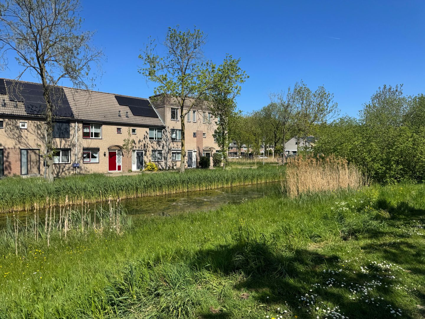 Foto 34 van Neerpeltstraat 8