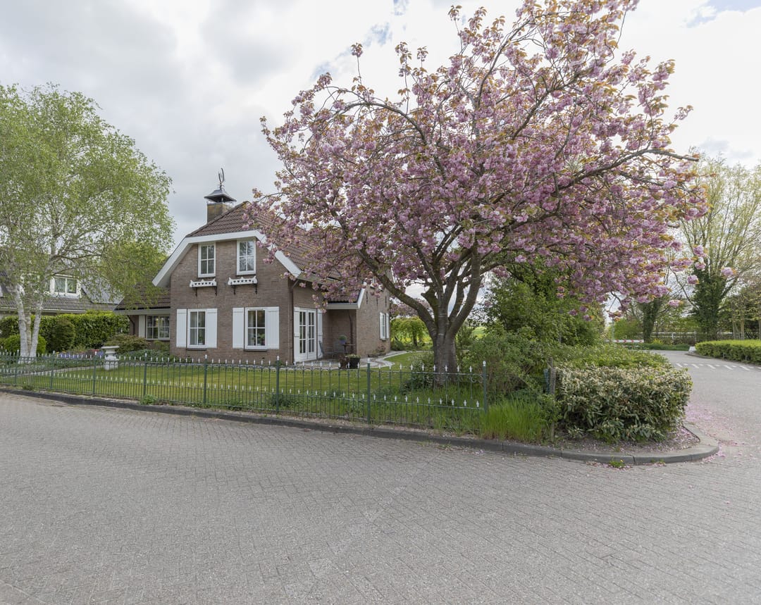 Foto 47 van Buitenlanden 2