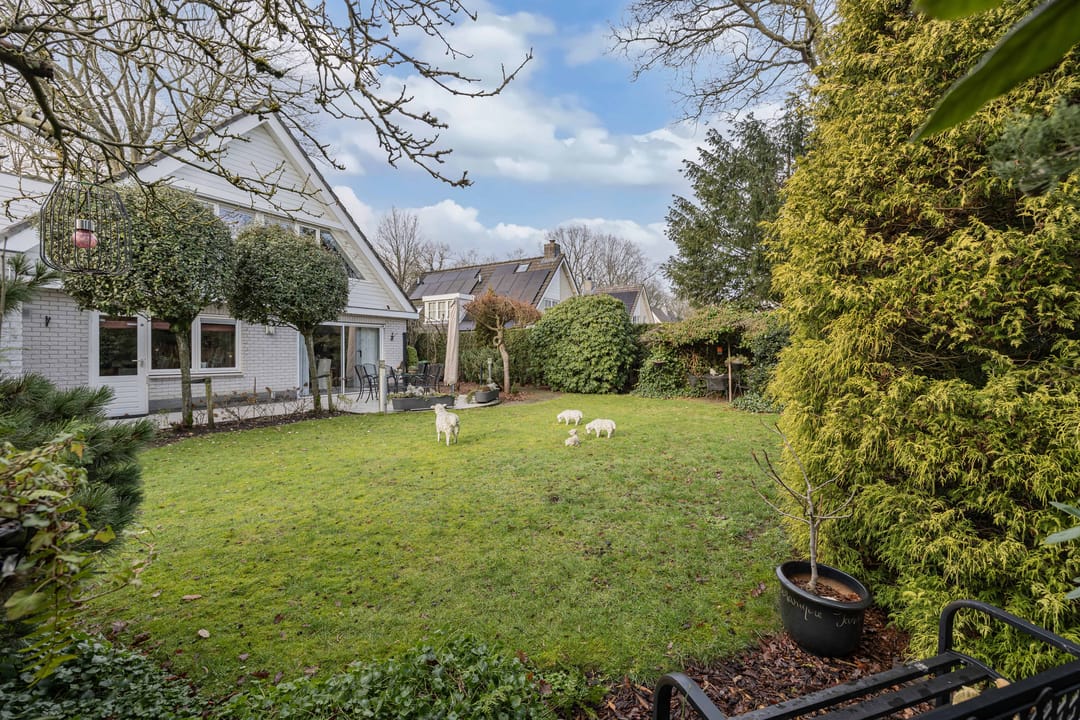 Photo 28 of Van Driellaan 7