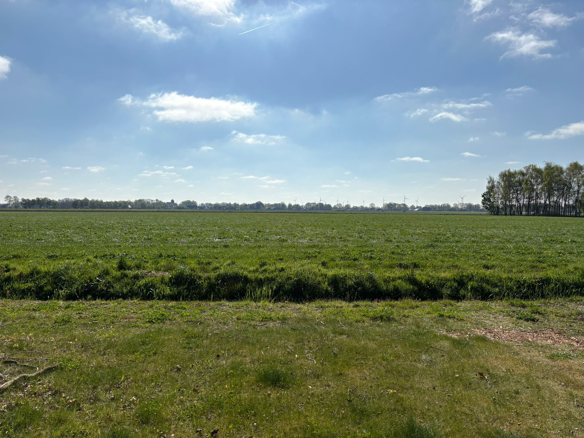 Foto 3 van Veenschapsweg 41