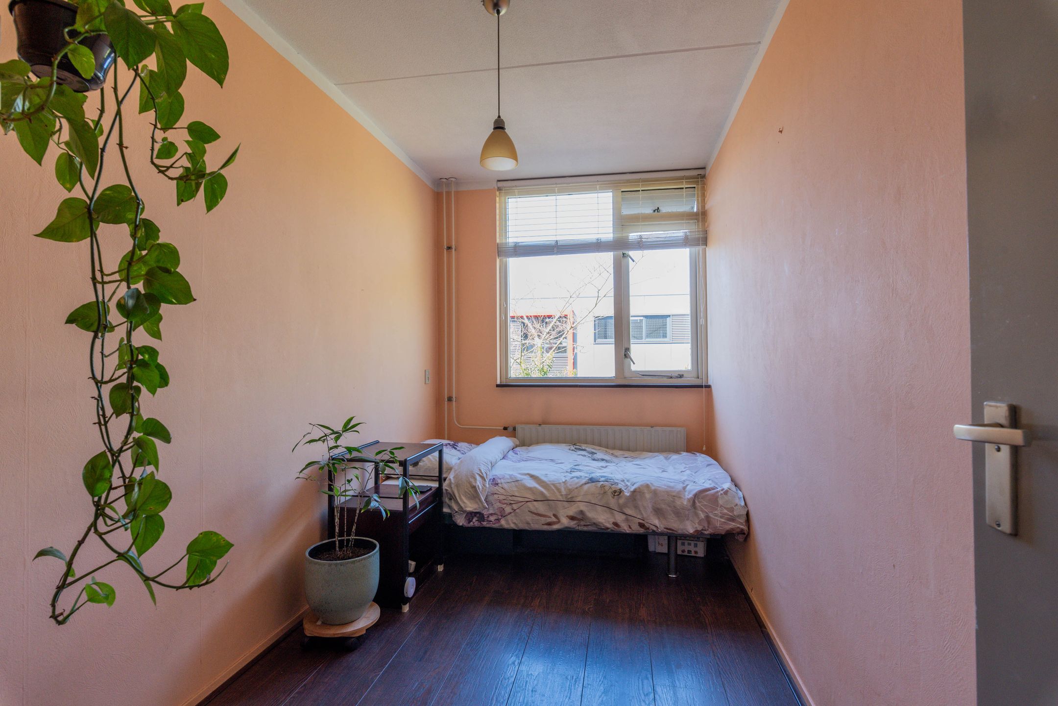 Foto 15 van Nieuwstraat 99-C