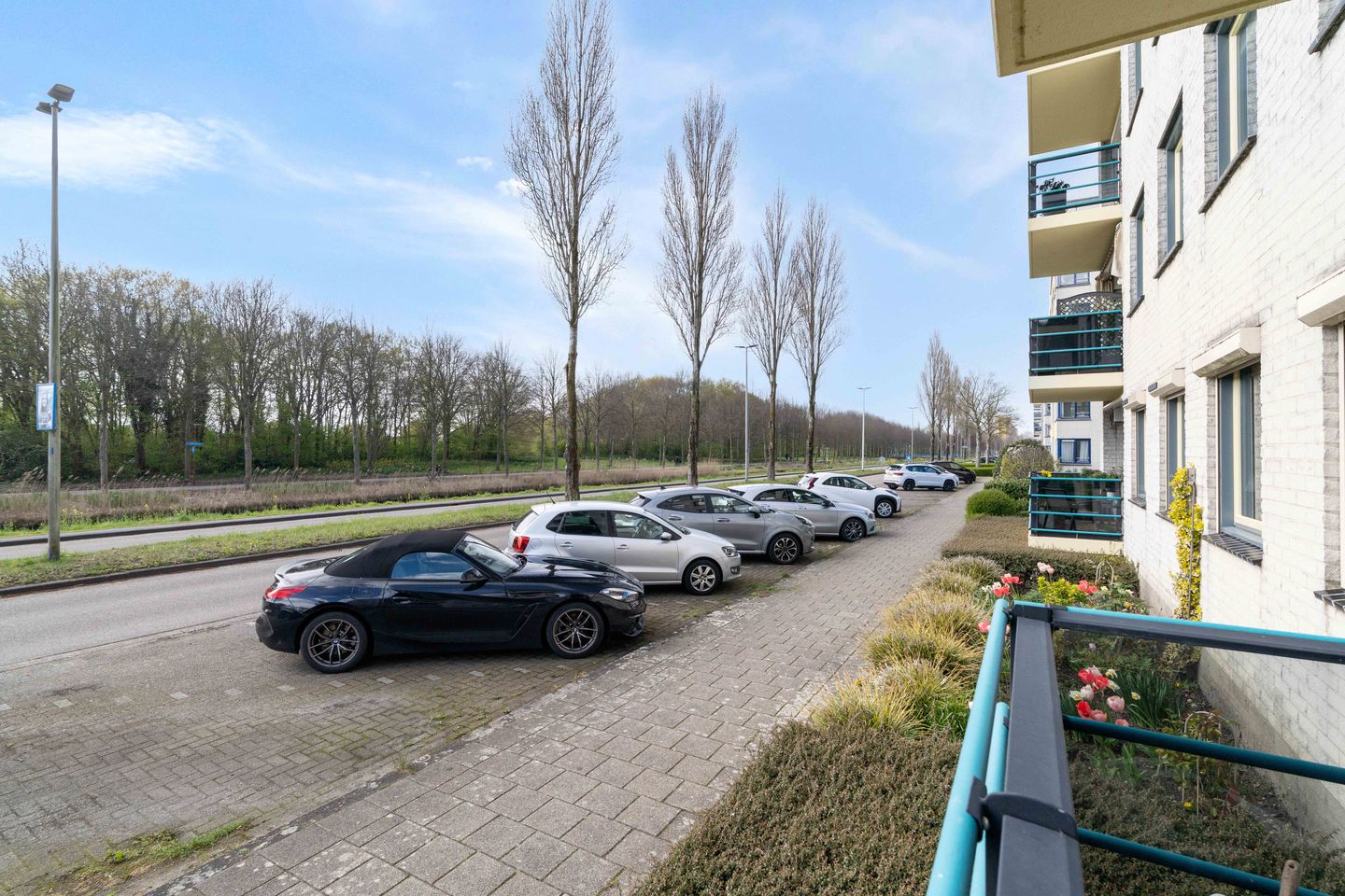 Foto 20 van Mosgroen 225