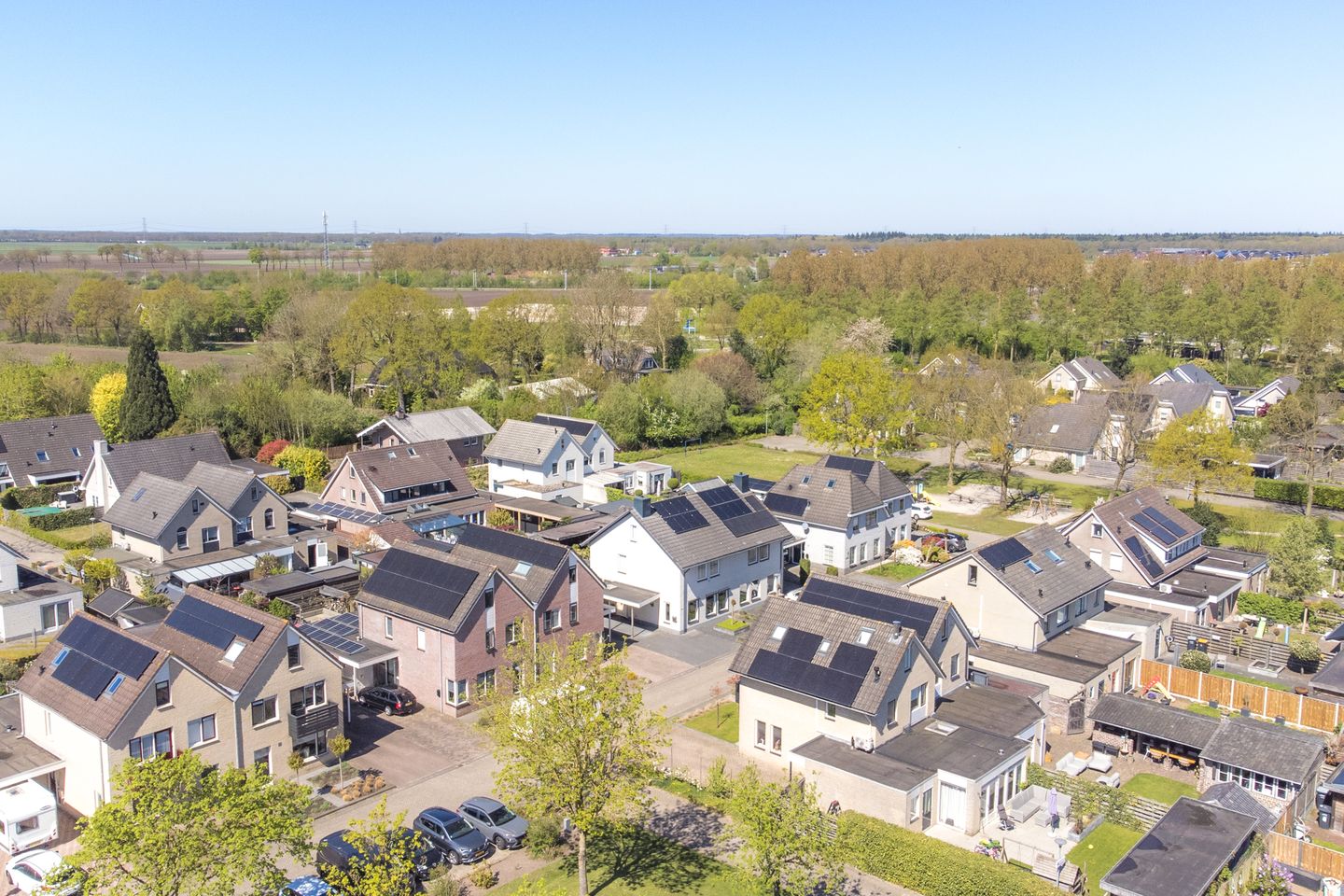 Foto 65 van Purperreiger 10