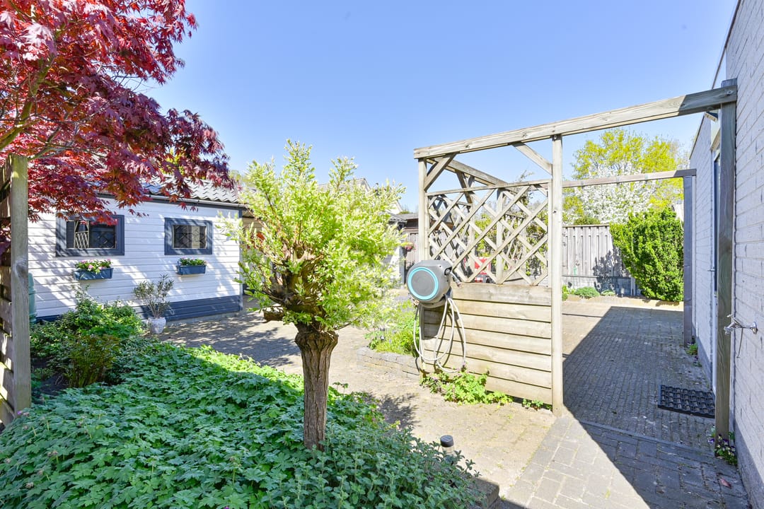 Foto 58 van Purperreiger 10