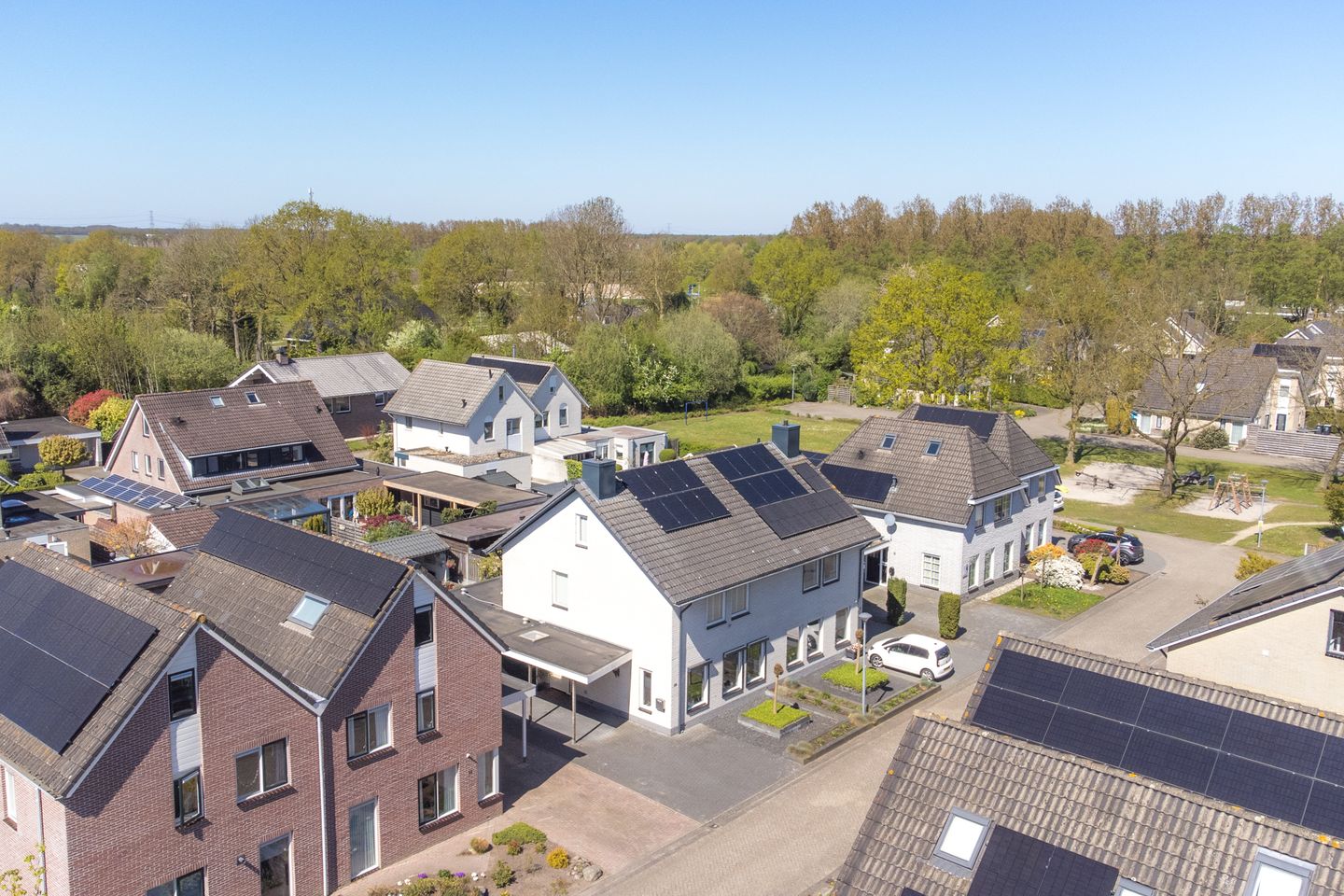 Foto 64 van Purperreiger 10