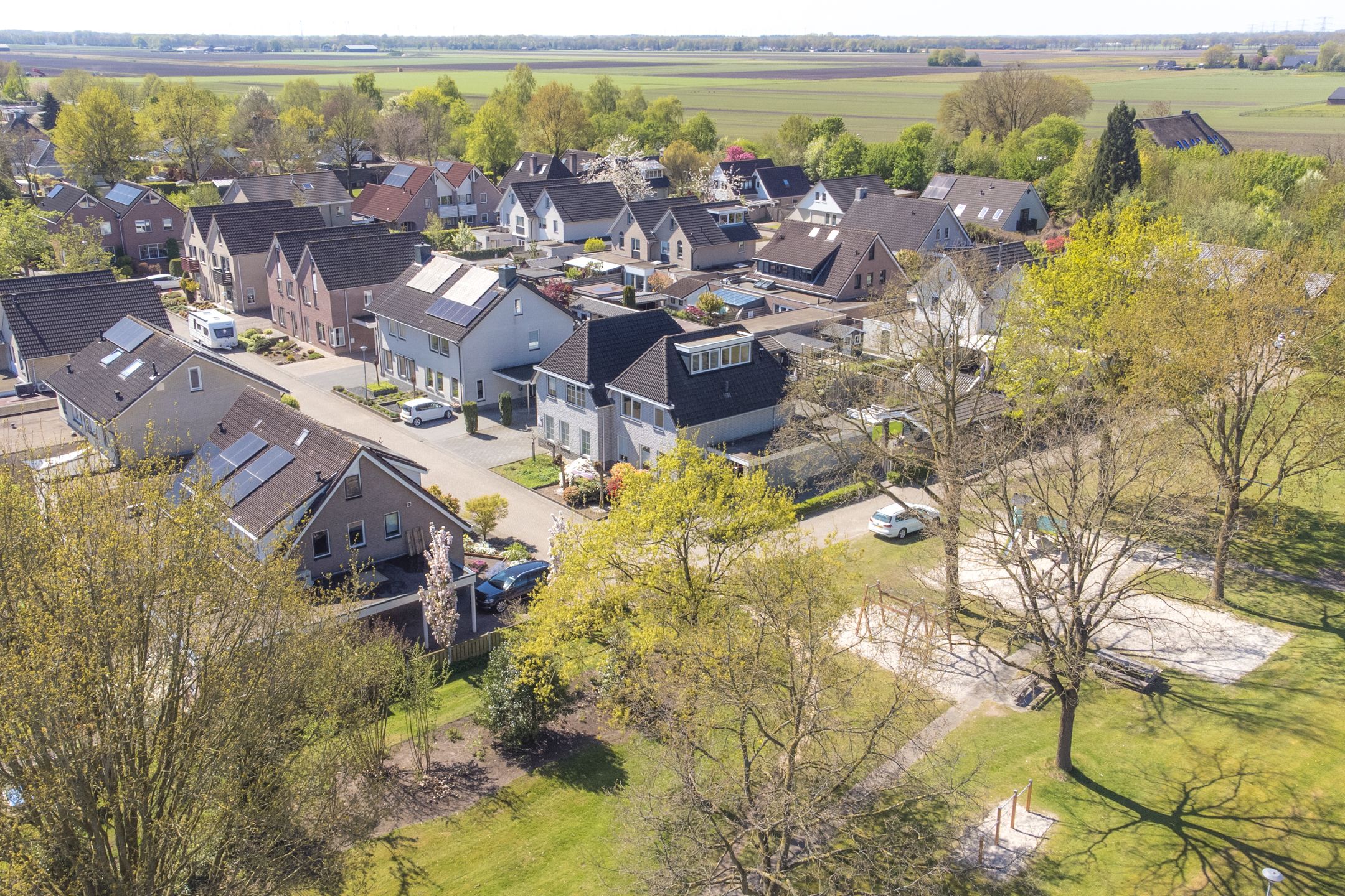 Foto 66 van Purperreiger 10