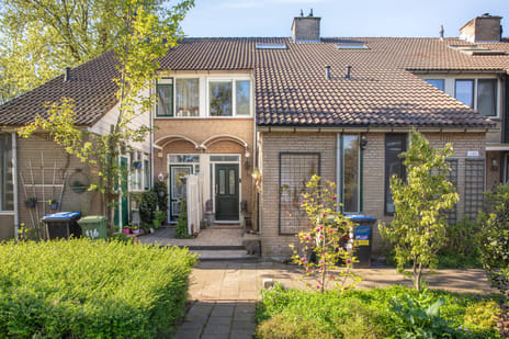 Hoofdstraat thumbnail