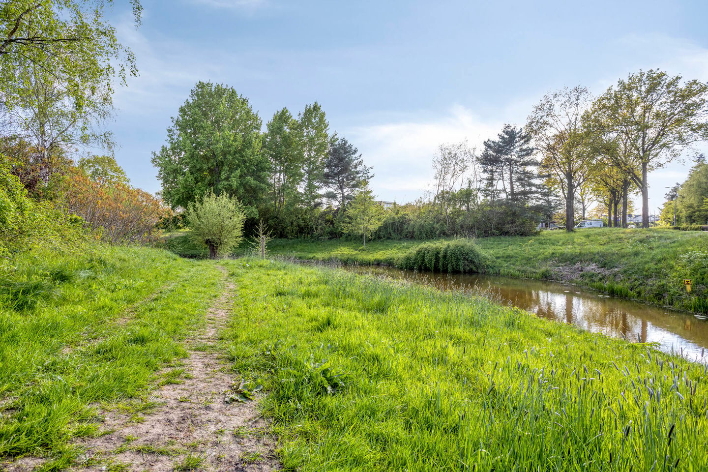 Photo 55 of Lupineberg 1
