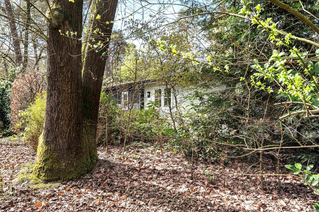 Photo 22 of Lage Bergweg 41-81