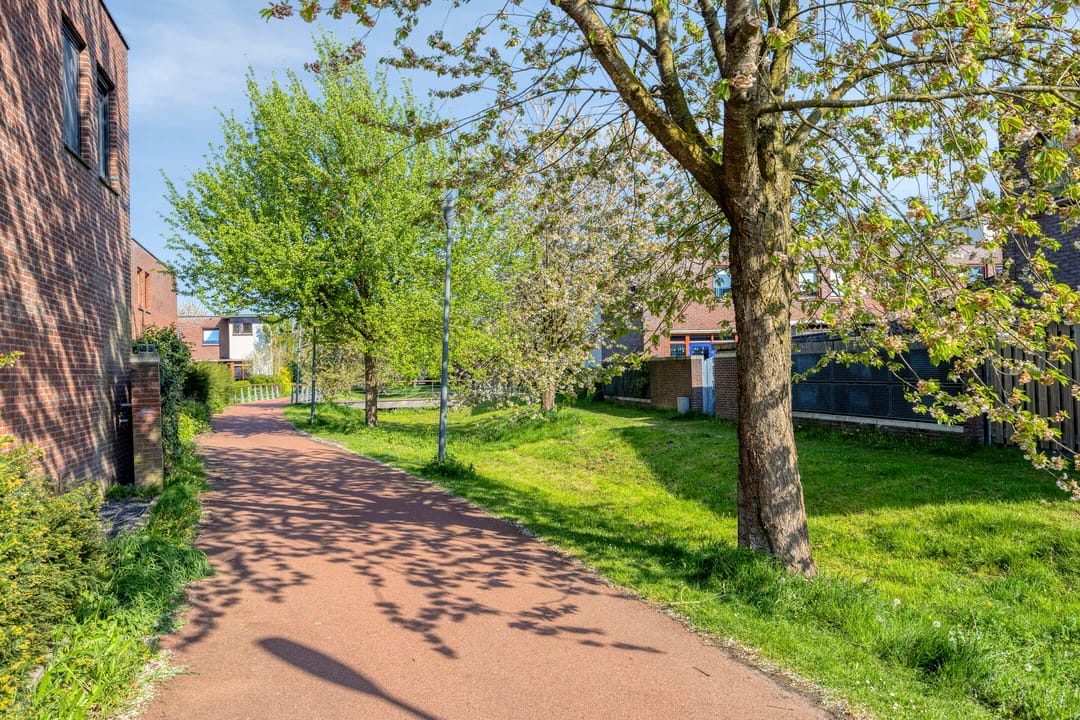 Foto 38 van Volsellastraat 20