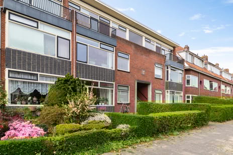 Rijnstraat 41 tertiary image