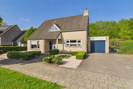 van Riebeecklaan thumbnail