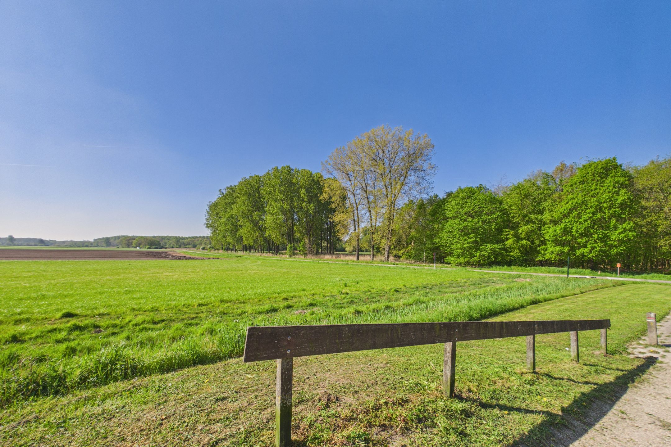 Foto 60 van van Riebeecklaan 5