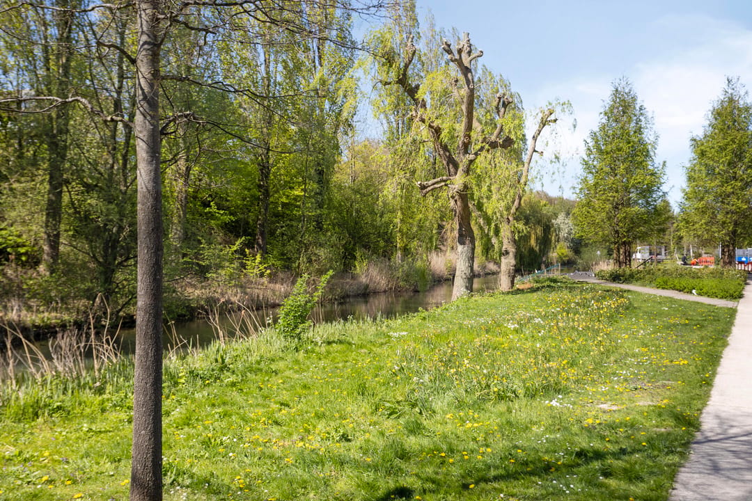Photo 28 of Postjesweg 459