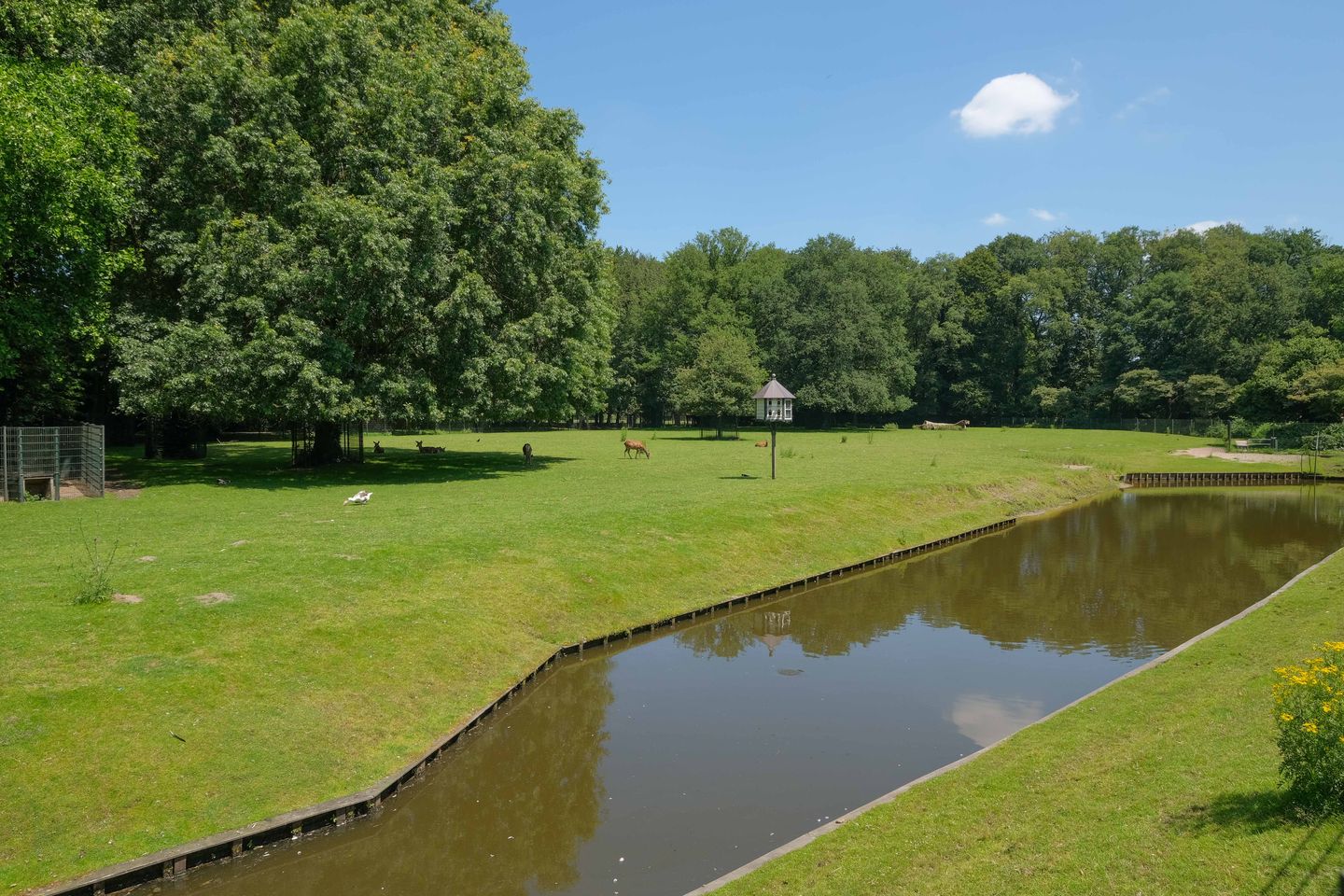 Foto 25 van Hagenborgh 127