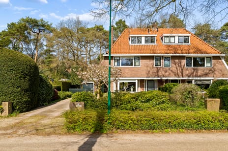 de Wetstein Pfisterlaan thumbnail