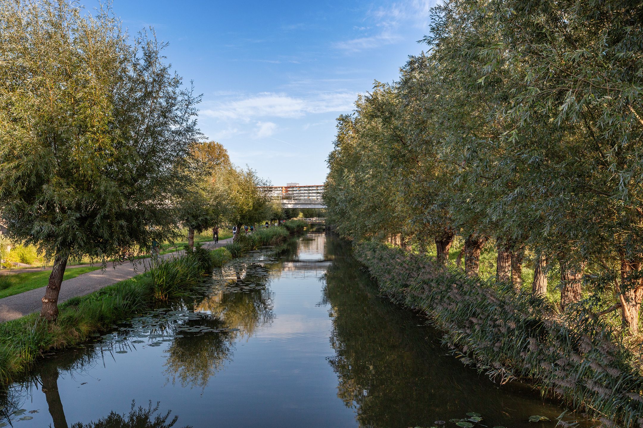 Foto 66 van Verreweg 166