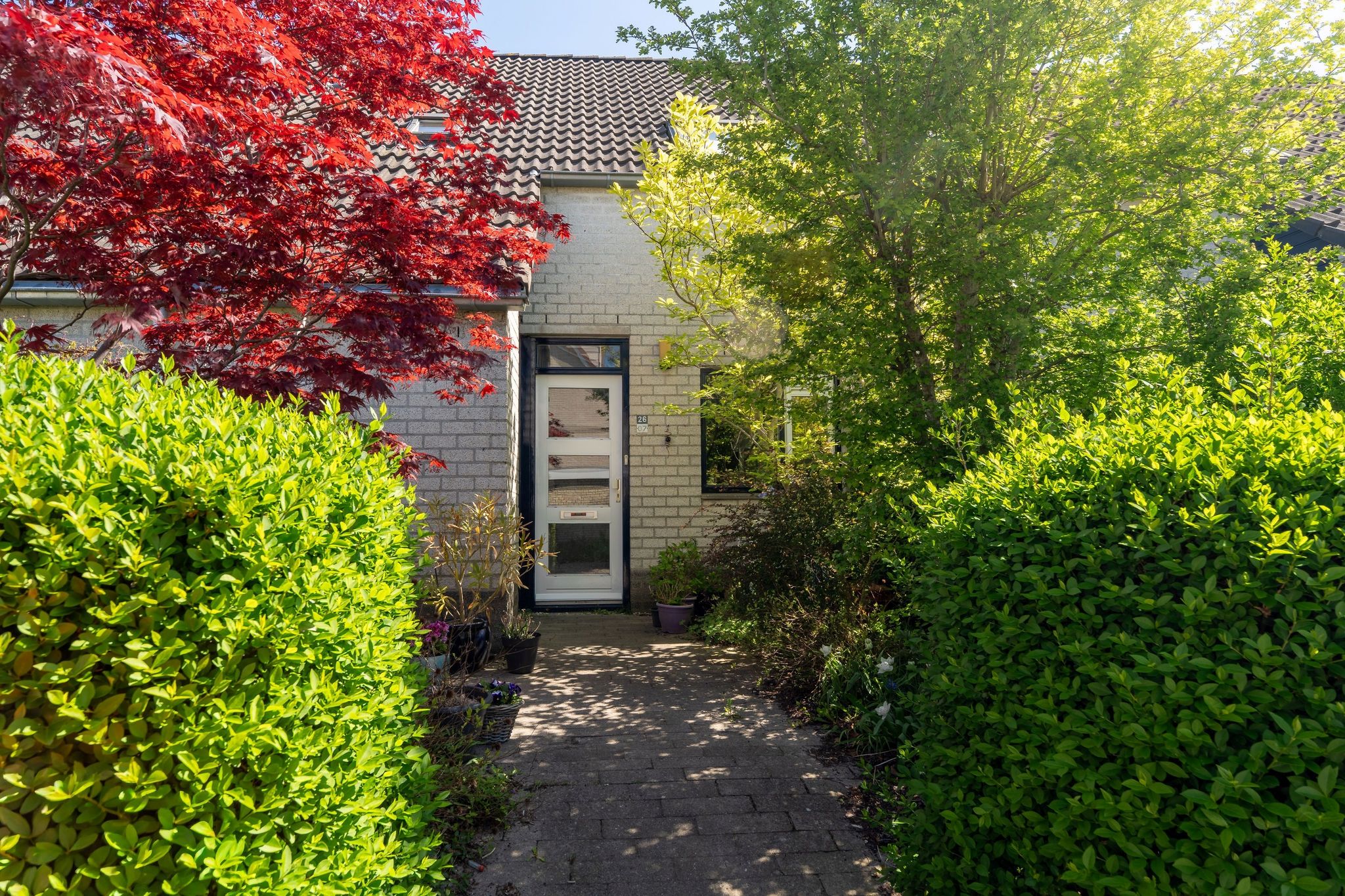 Photo 6 of Horst 26 7