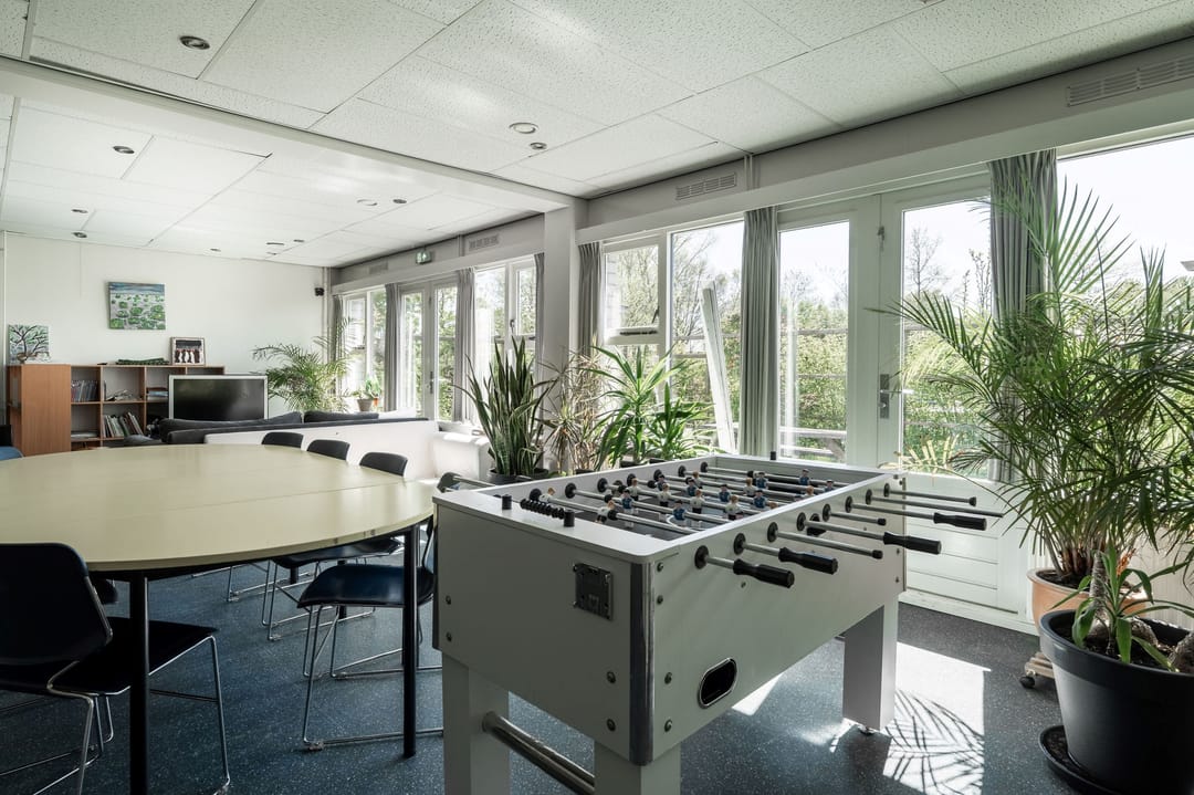 Photo 31 of Horst 26 7