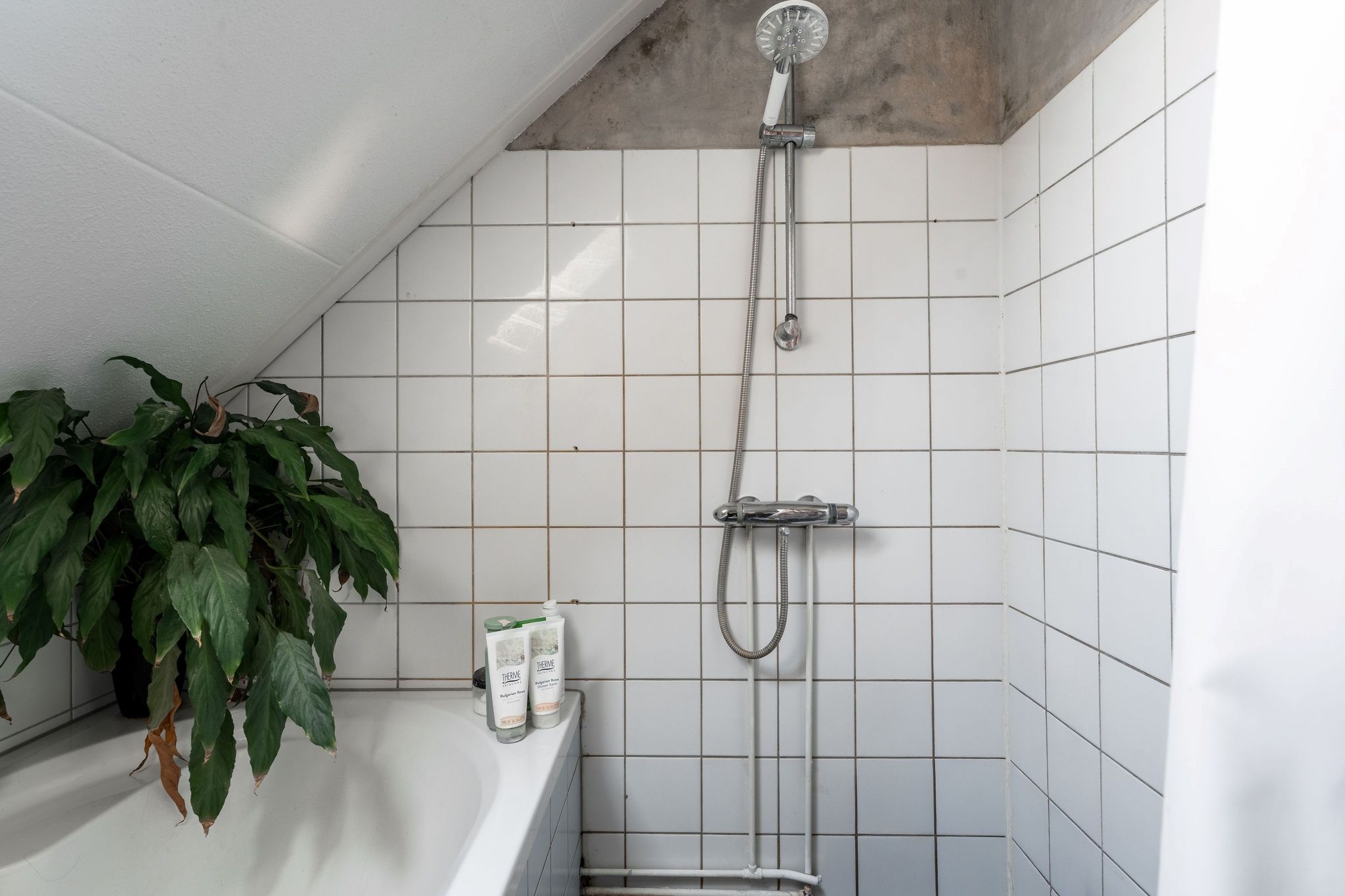 Photo 21 of Horst 26 7