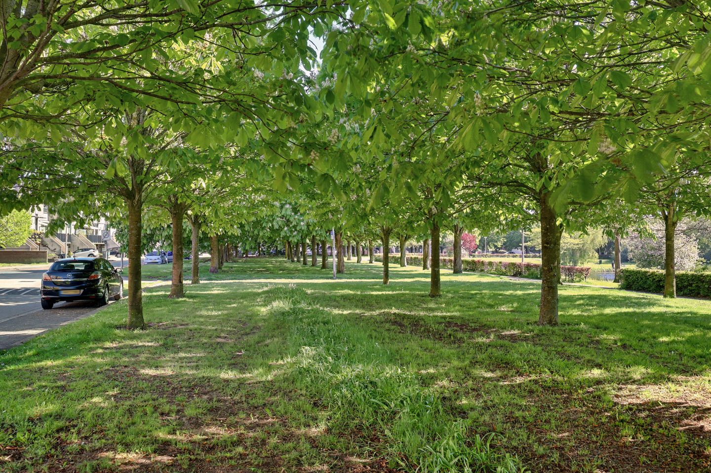 Foto 5 van Rooseveltlaan 5