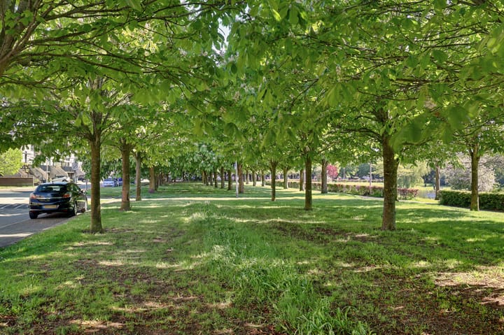 Foto 5 van Rooseveltlaan 5