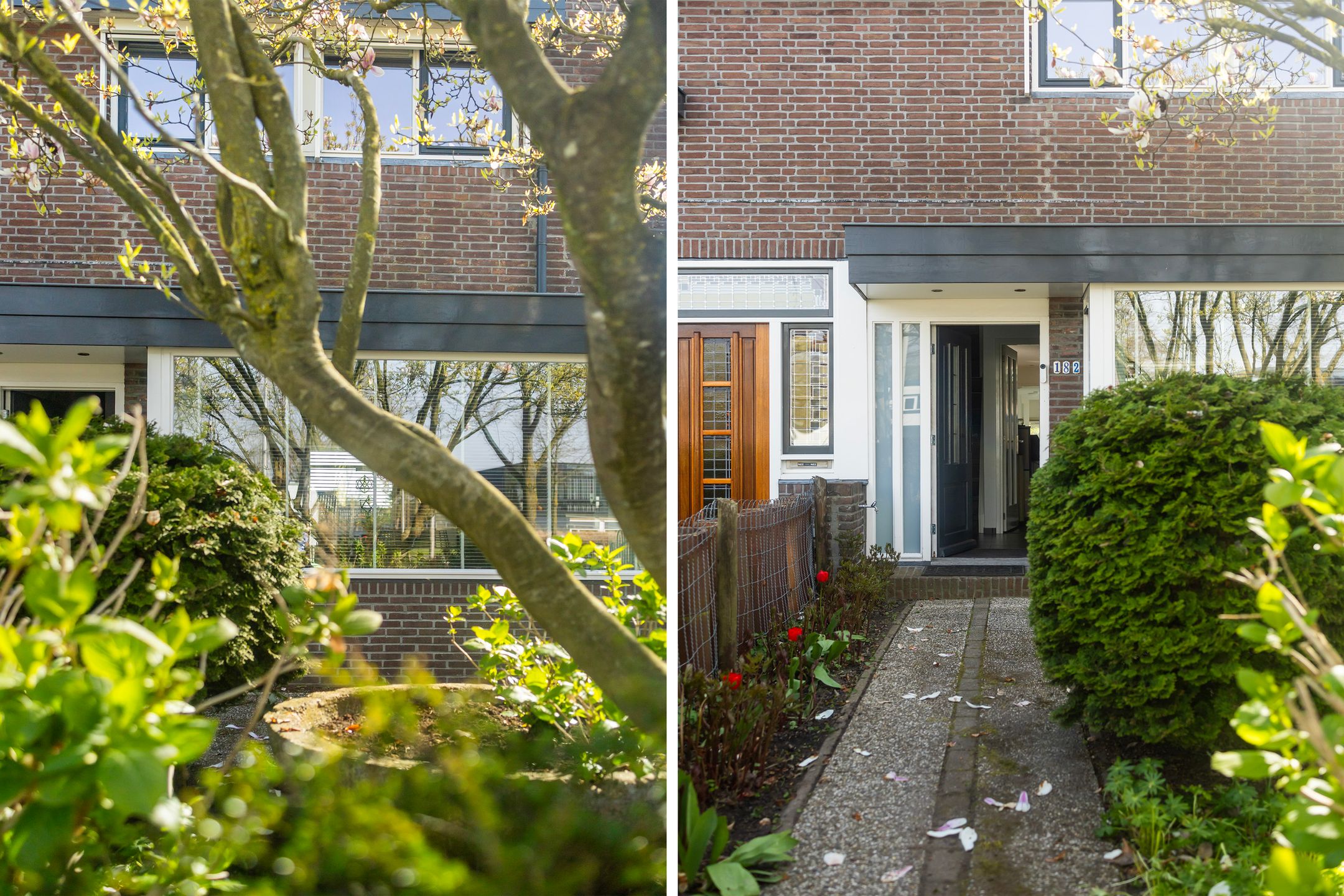 Photo 6 of Mr. P.J. Troelstraweg 182